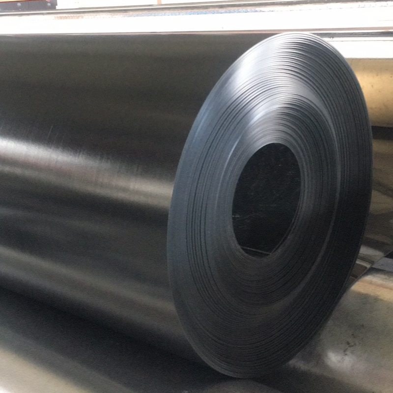 High Quality HDPE Geomembrane Waterproof HDPE Sheet 1mm