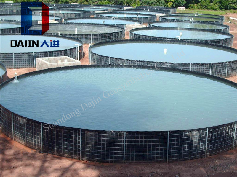 HDPE Geomembrane Waterproof Pond Liner Plastic Sheet