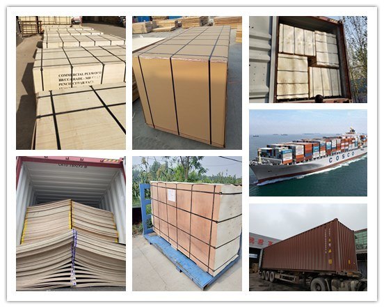 Wholesale Marine Plywood Board From China Factory