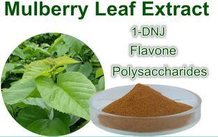 Mulberry Leaf Flavones: 10%, 20%