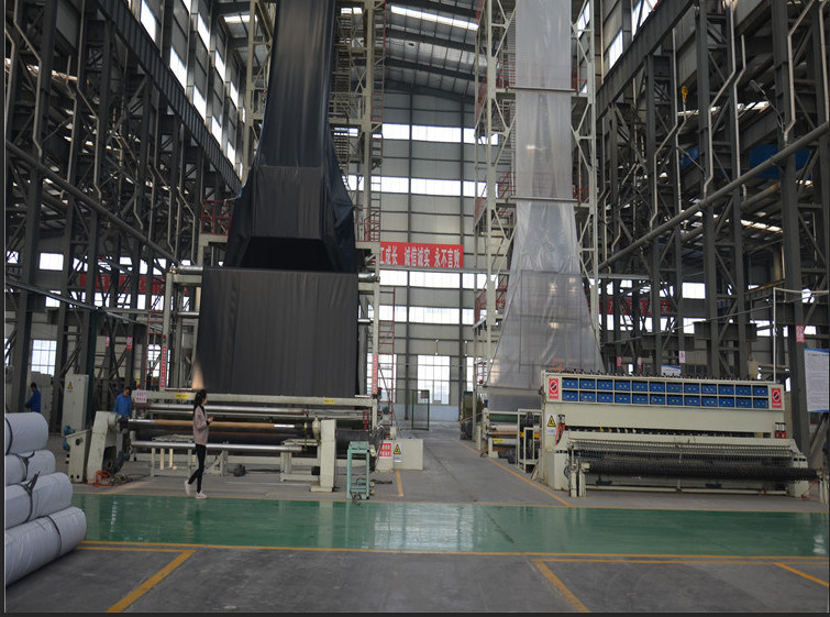 HDPE Geomembrane Price Geomembrane Transparent Sheets