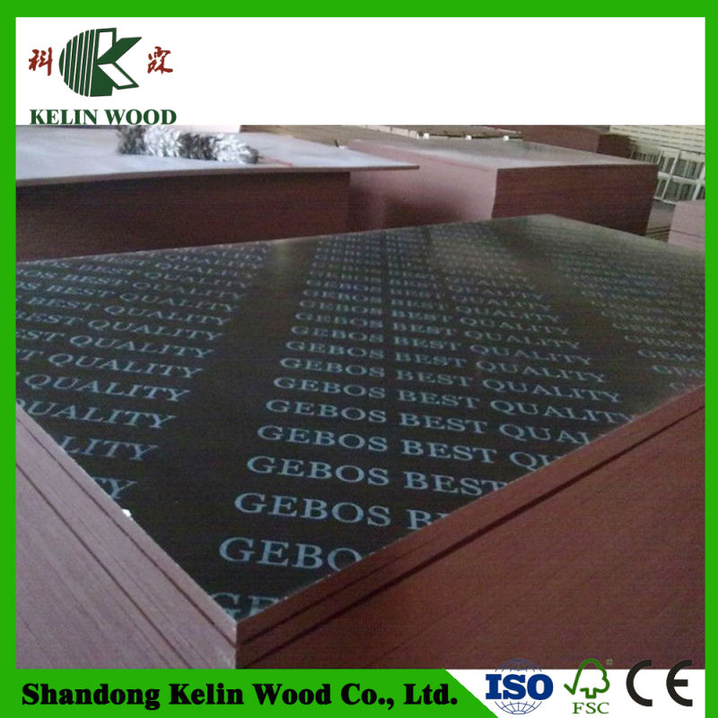 Outdoor Waterproof Pheonlic Marine Plywood Film Faced Plywood Board