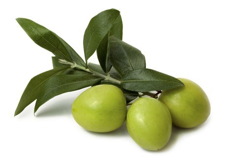 Olive Leaf P. E. Hydroxytyrosol 20% Supplier in China