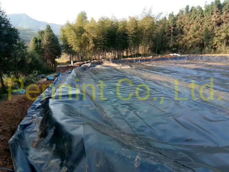 HDPE/LDPE Geomembrane Landfill Seepage Control Sheets