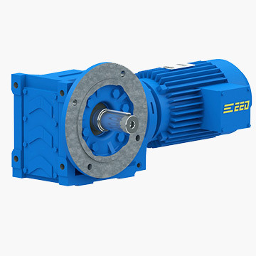 Solid Shaft Helical-Worm Gear Motor