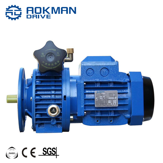 Solid Shaft Output Udl Series Frequency Variator Reducer