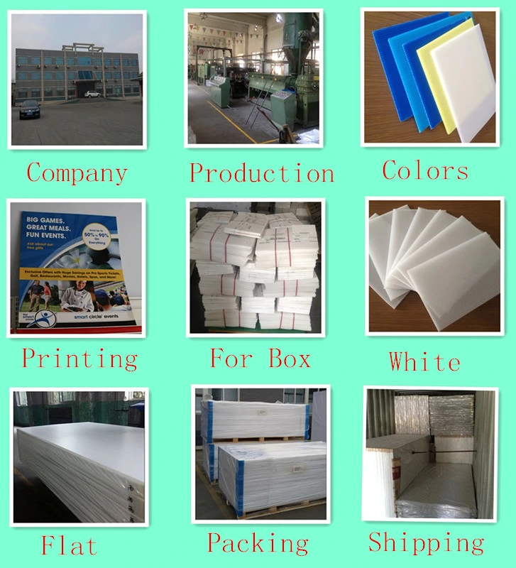 PP Hollow Coroplast Polypropylene Sheets 4X8FT Corrugated Plastic Sheet