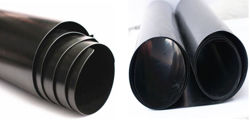 HDPE Geomembrane Price Geomembrane Transparent Sheets