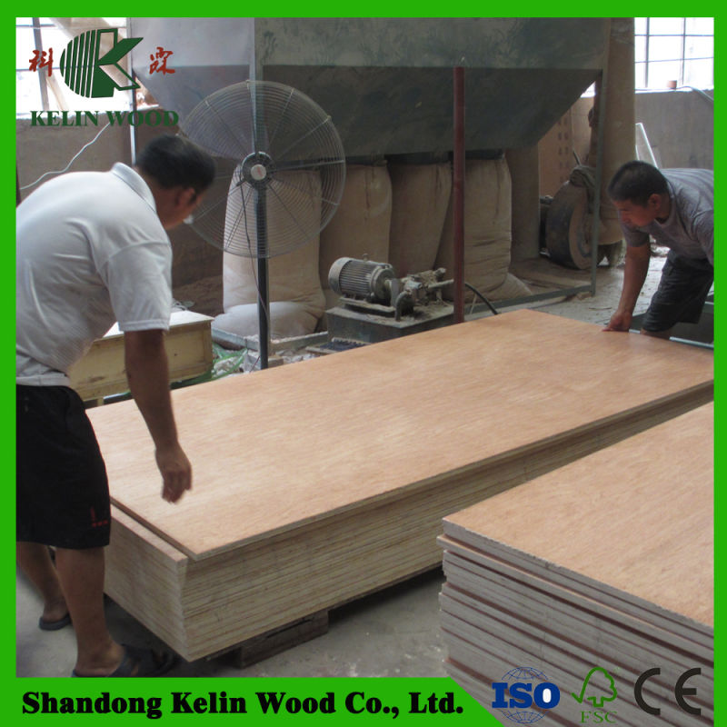 4X8 Birch/Hardwood Ply Board/Commercial Marine Plywood Board with Factory Price