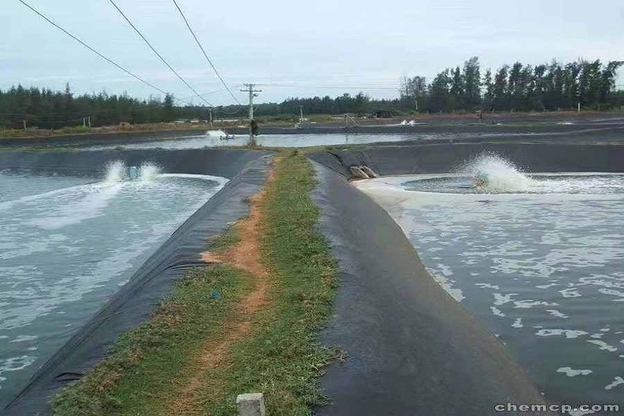 Geomembrane with 100% Virgin, 100% Polypropylene/PE Geomembrane