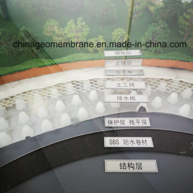 12mm HDPE Drainage Dimple Drain Sheet HDPE Drainage Board Sheet
