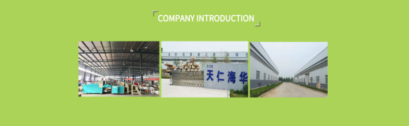100% Compostable Biodegradable HDPE/LDPE Plastic T-Shirt Carrier Shopping Bag