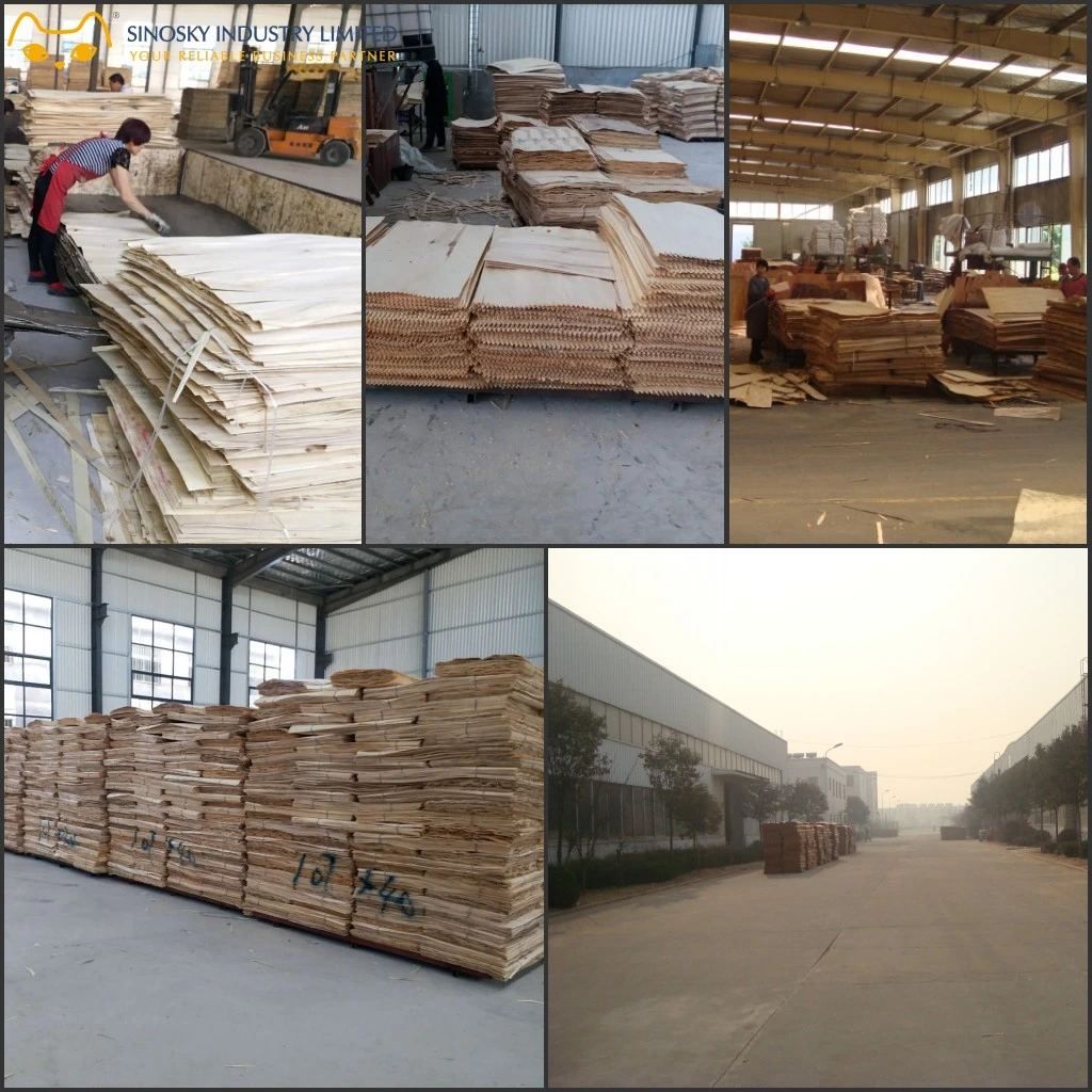 Birch Veneer 0.3 mm Pine Veneer 0.3mm Okoume Veneer 0.3mm Bintangor Veneer 0.3mm