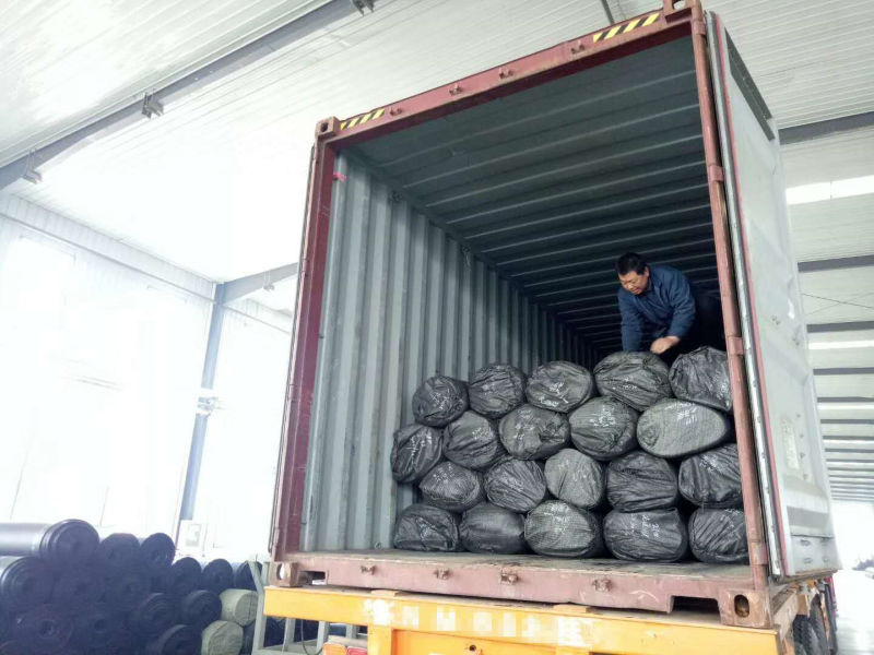 HDPE Geomembrane Price Geomembrane Transparent Sheets
