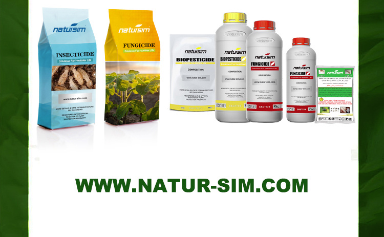 Butachlor Work for Leaf and Soil Agent