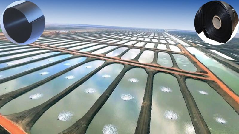 Fish Pond HDPE Liner Virgin HDPE Sheet for Aquaculture Fish Farm