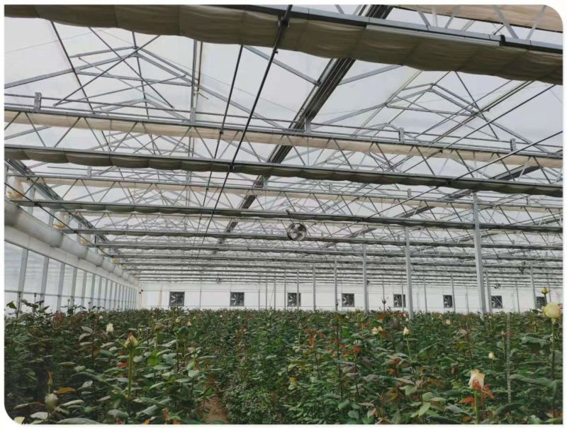 HDPE Anti UV Garden Aluminum Foil 65% Sun Shading Net