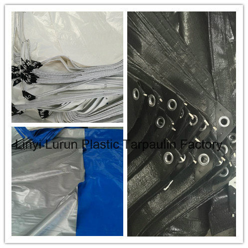 HDPE Woven Fabric Tarpaulin Cover, LDPE Coating Blue Tarpaulin Sheet