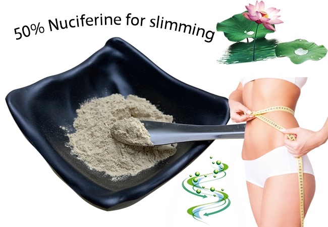 Water Soluble Lotus Leaf Extract 2% 5% Nuciferine Powder