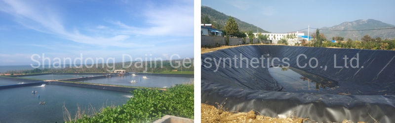 Wholesale Aquaponics Ponds Aquaculture Waterproof Membrane Liner HDPE Sheet Geomembrane