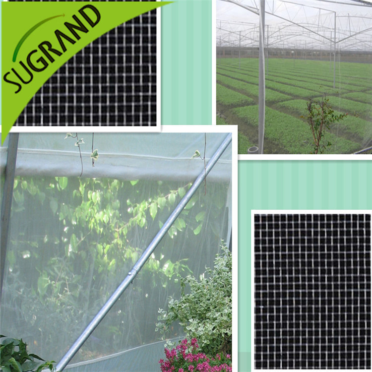 HDPE Plastic Anti UV Greenhouse Cover Anti Aphids Net