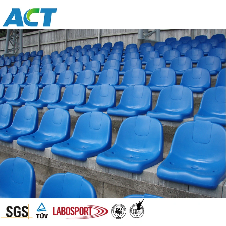 High Density Polypropylene Injection Mold Plastic Chair Seats