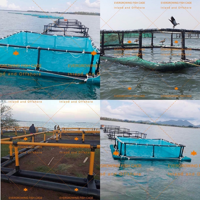 High Quality Aquaculture Square Sea Fish Farming Floating PE Net Cages