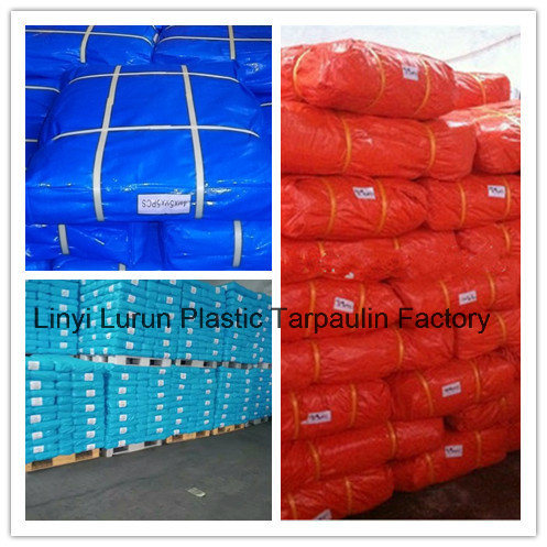 HDPE Woven Fabric Tarpaulin Cover, LDPE Coating Blue Tarpaulin Sheet