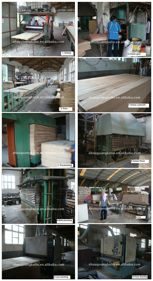 4X8 Birch/Hardwood Ply Board/Commercial Marine Plywood Board with Factory Price