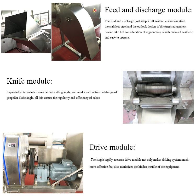 Hot Sale Professional Frozen Chicken Cube Cutter Fish Cutting Machine