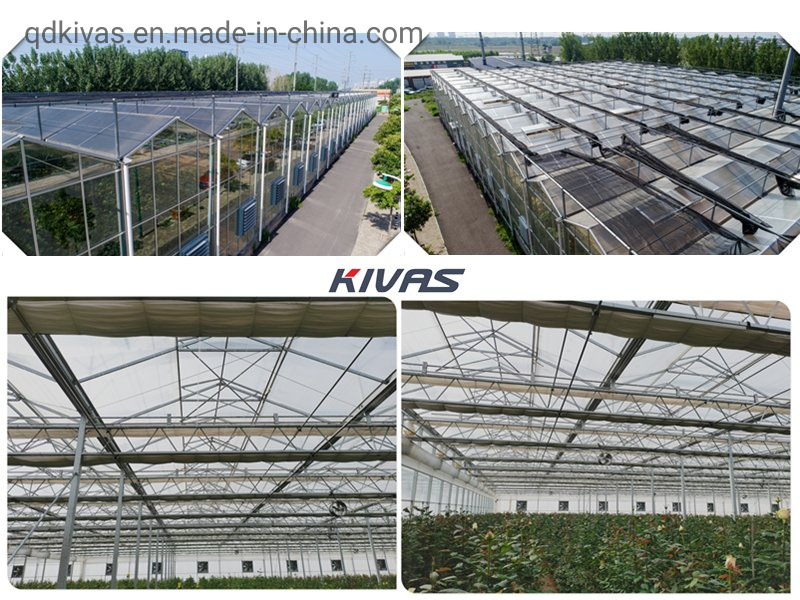 HDPE Anti UV Garden Aluminum Foil 65% Sun Shading Net