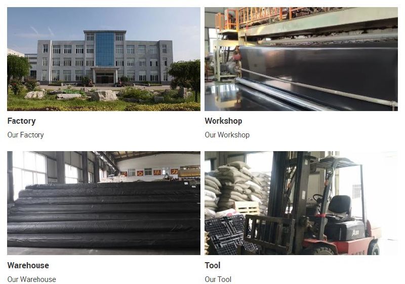 Chinese Manufacturer High Density Polyethylene Geomembrane / HDPE Reinforced Woven Fabric Geotextile