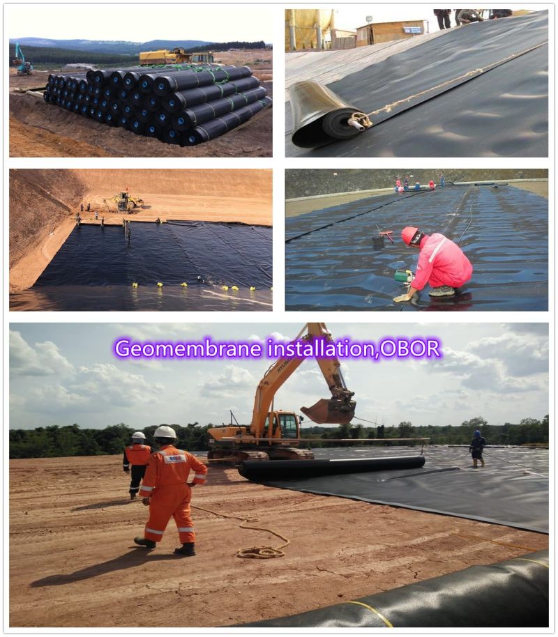 HDPE Geomembrane Fish Farm HDPE Sheet