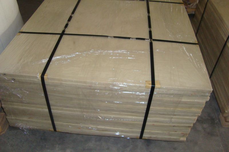 100% Virgin Nylon Sheet, PA6 Sheet, PE Sheet, Plastic Sheet