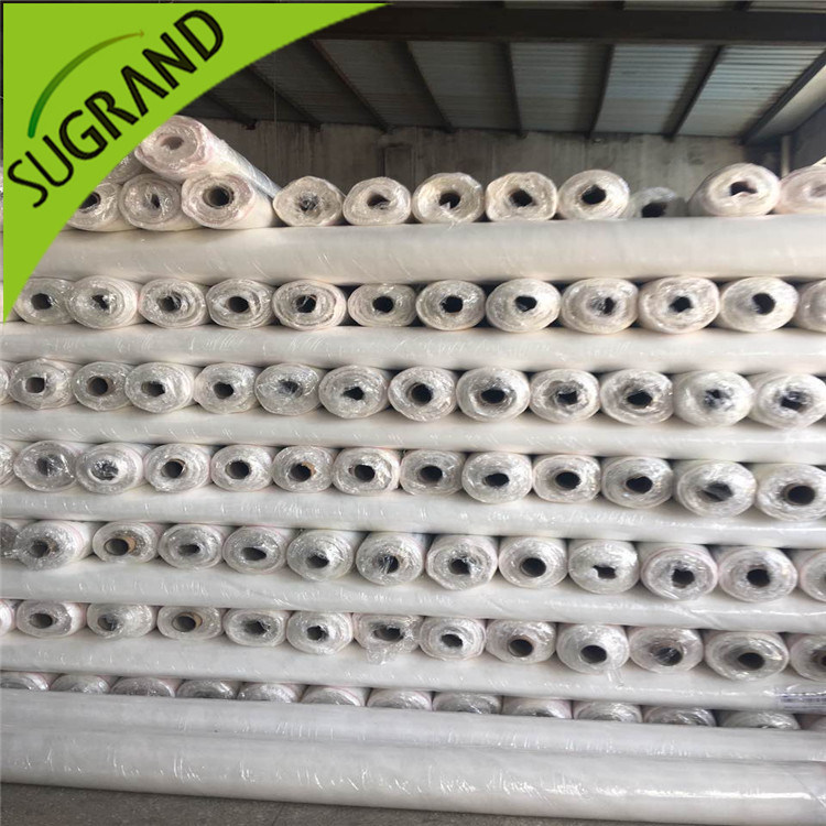 HDPE Plastic Anti UV Greenhouse Cover Anti Aphids Net