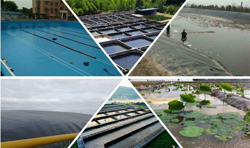 Fish Pond HDPE Liner Virgin HDPE Sheet for Aquaculture Fish Farm