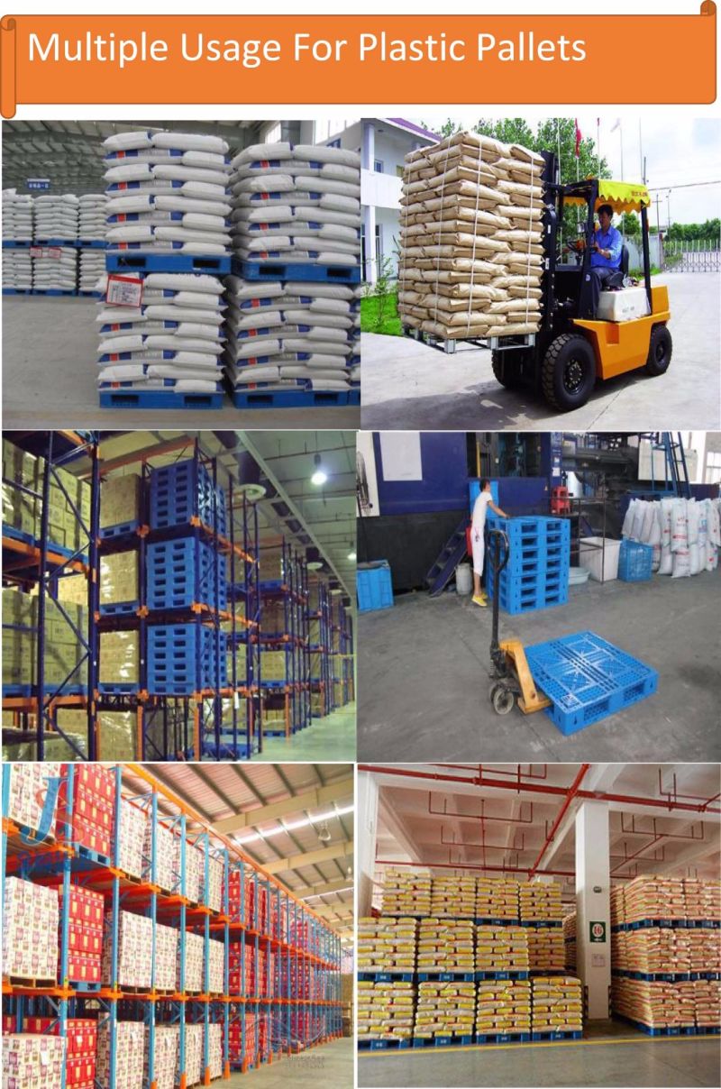 Blue Color HDPE Plastic Pallets Plastic Pallet for Warehouse
