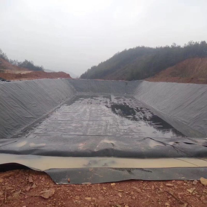 HDPE Geomembrane 1.5mm Sheet HDPE Fish Farm Pond Liner Membrane