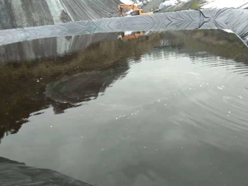 HDPE Geomembrane 1.5mm Sheet HDPE Fish Farm Pond Liner Membrane
