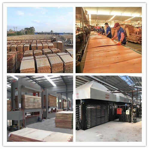 Wholesale Marine Plywood Board From China Factory