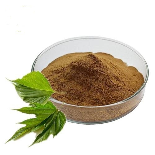 Mulberry Leaf Extract 1%&5% Dnj Powder