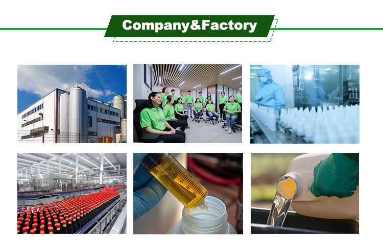 China Chlorsulfuron 25%Wp Work for Leaf and Soil Agent