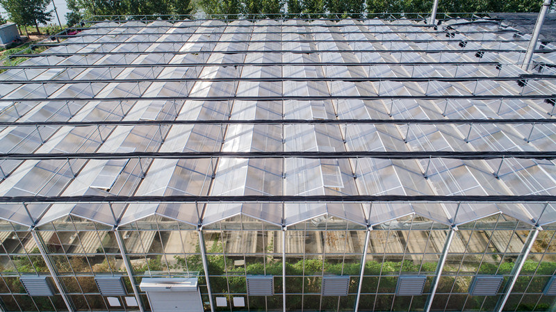 HDPE Anti UV Garden Aluminum Foil 65% Sun Shading Net