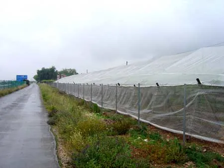 HDPE UV Greenhouse Anti Insect Net, Anti Insect Mesh, Anti-Aphid Net