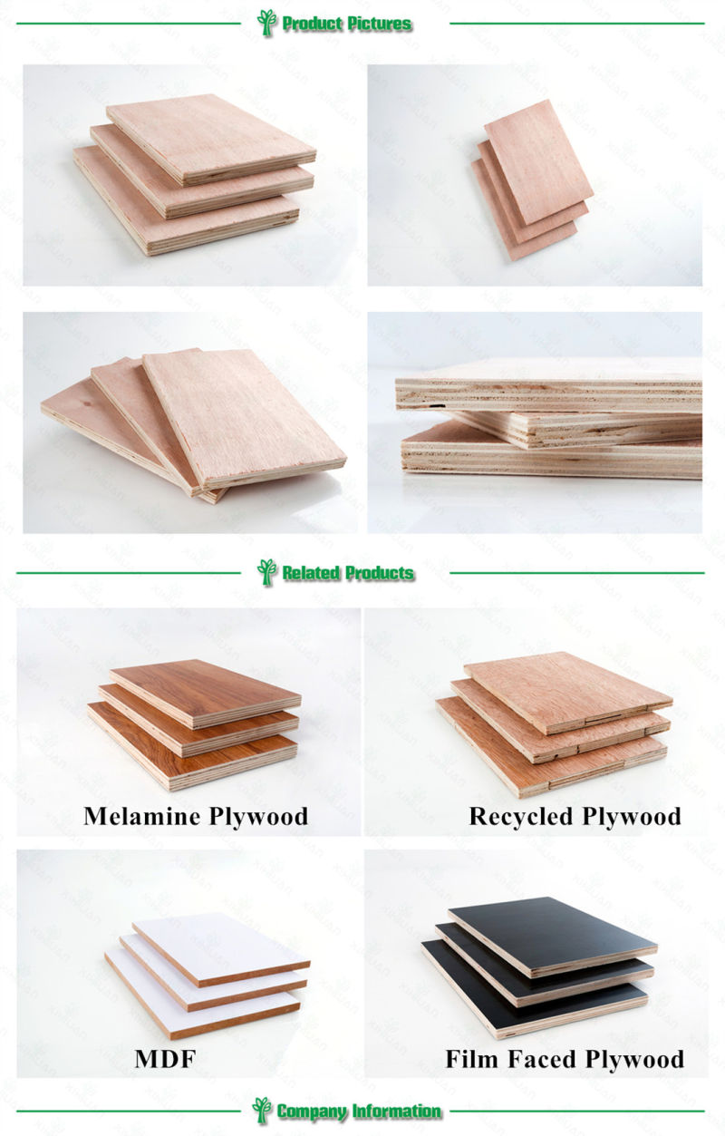 Cheap Bamboo Marine Commercial Plywood Manufacturer 4X8 for India