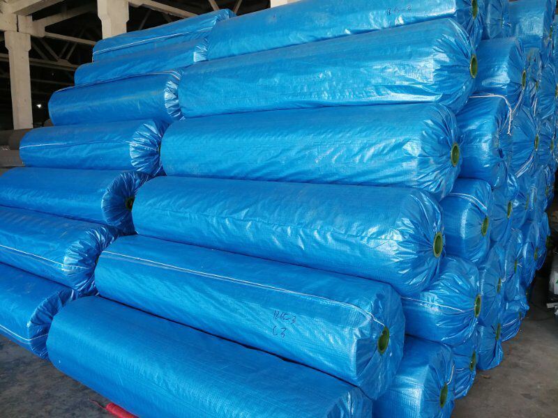 Dust Resistance Oil Resistance PVC S Floor in Roll