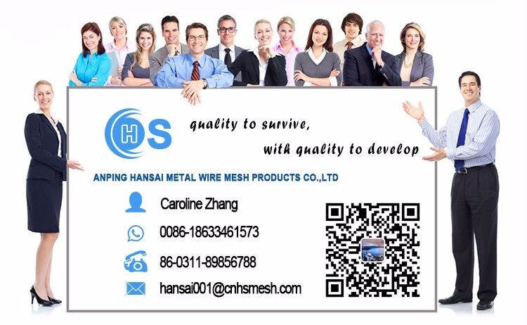HDPE Plastic Flat Mesh/Plastic Mesh/Plastic Flat Net