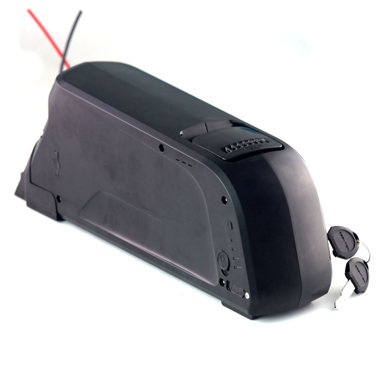 Dolphin Battery Down Tube Type Ebike Bicycle Lithium Battery 48V 13ah Lithium Battery