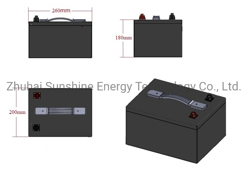 Li-ion/Lithium Ion 12V 100ah Deep Cycle LiFePO4 Lithium Battery