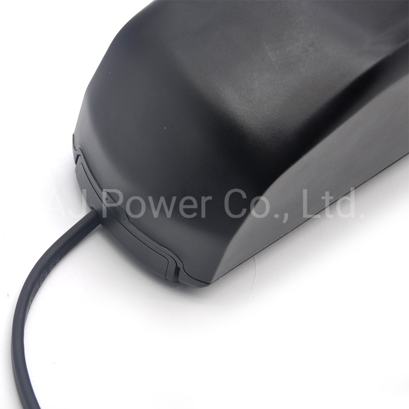 48V Parrot Li-ion Lithium Ion Battery Pack with Ncm 18650 Cells for Electric Bicycle